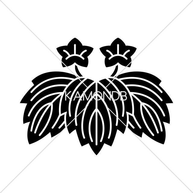 二つ花鬼桐