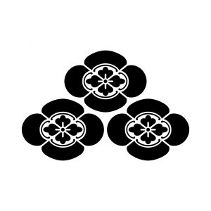 三つ盛木瓜