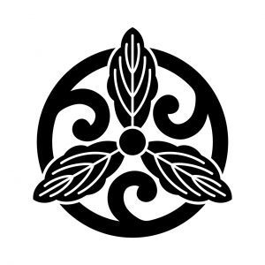 変わり五徳細柏